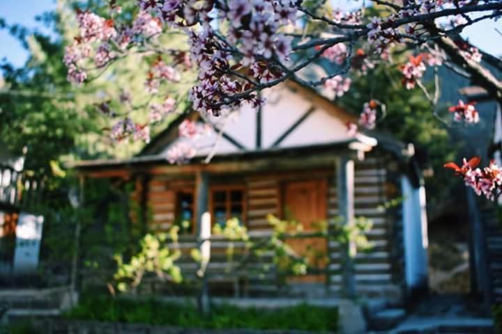 Cabanas Montebello Inn Creel Dış mekan fotoğraf